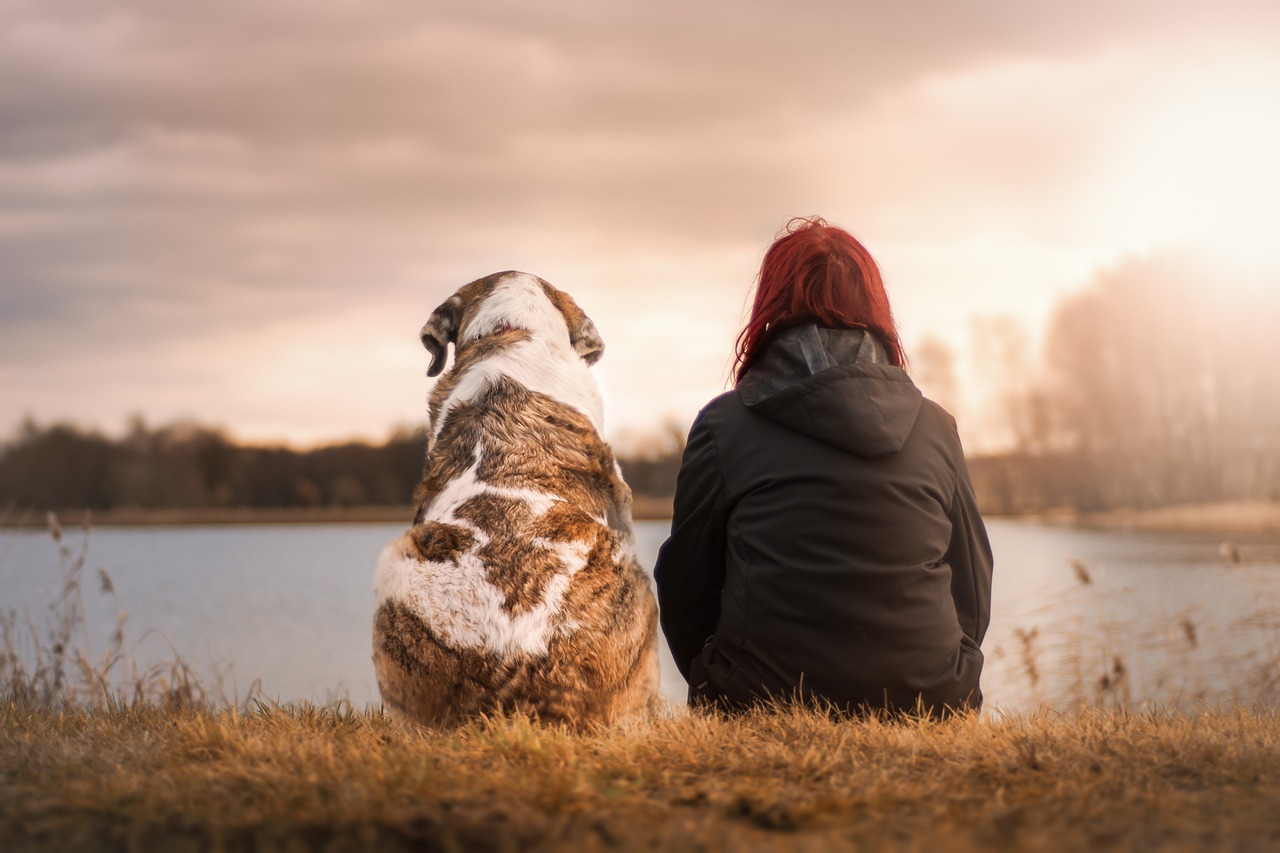 亡くなった愛犬や愛猫はそばにいる？自宅でのペット供養方法や事例を解説