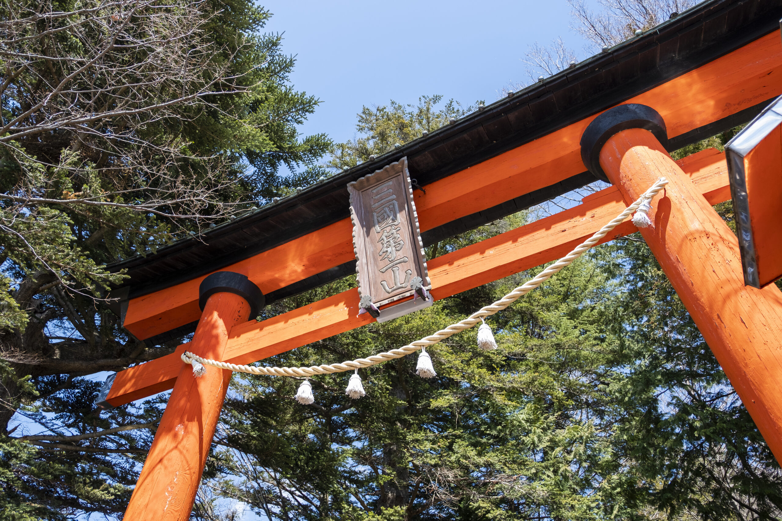 喪中なのに鳥居をくぐってしまったときの対処法｜神社に行ってはいけない理由を解説！